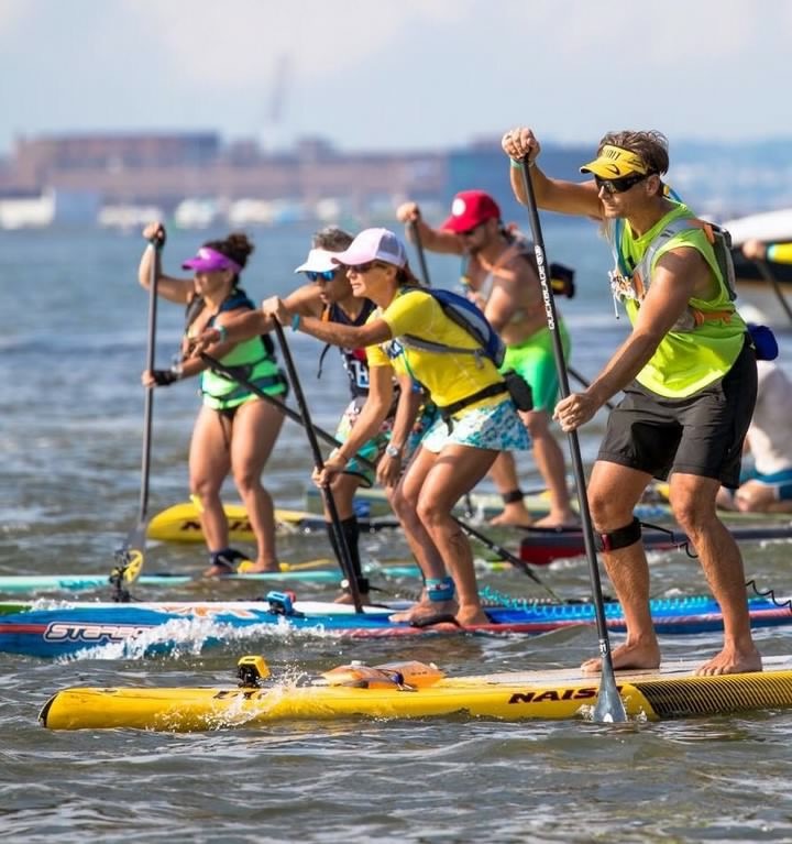 Paddleboard racing enthusiasts